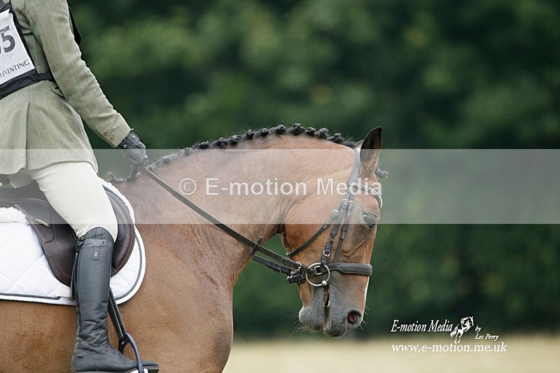 BVRC 030721 236 - Bourne Valley Riding Club Dressage 03/07/21