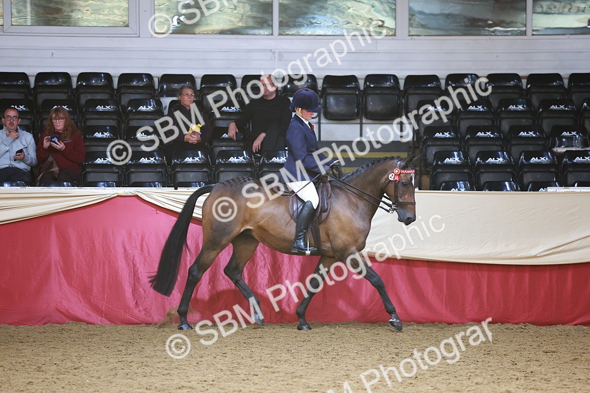 SBM_23958 - Class 905 - Supreme Final - Ridden Veteran