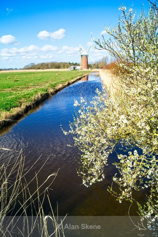 DSC02891 - Norfolk