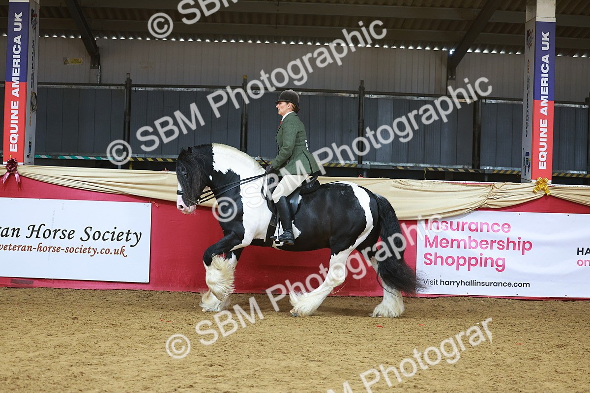 SBM_09438 - Class 102 - HOYS Veteran Qualifier - Ridden Veteran