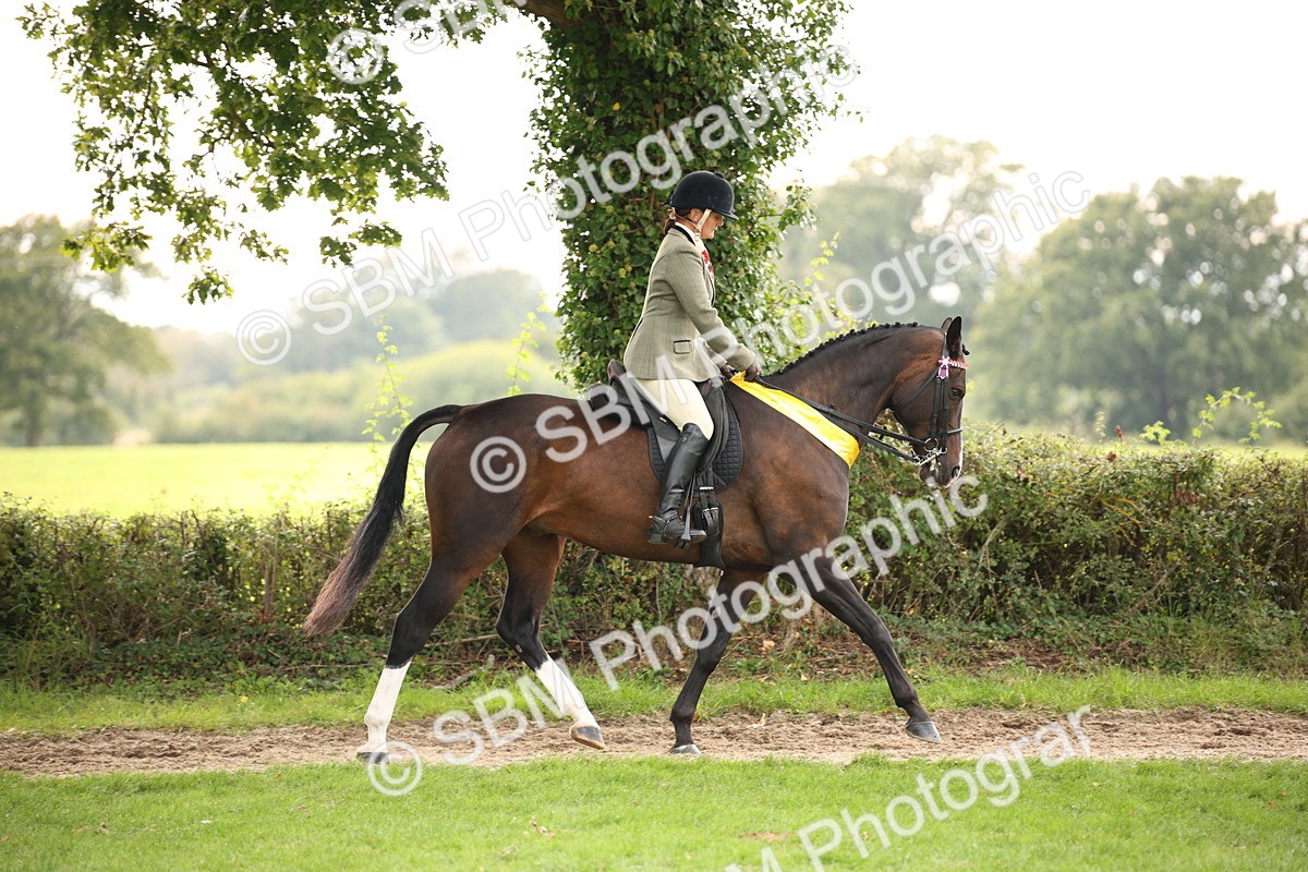 SBM_73626 - Ridden Horse Supreme Championship