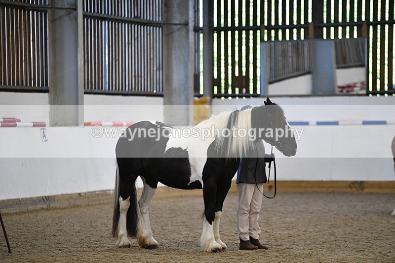 WJ5_5454 - Class 8 In hand cob