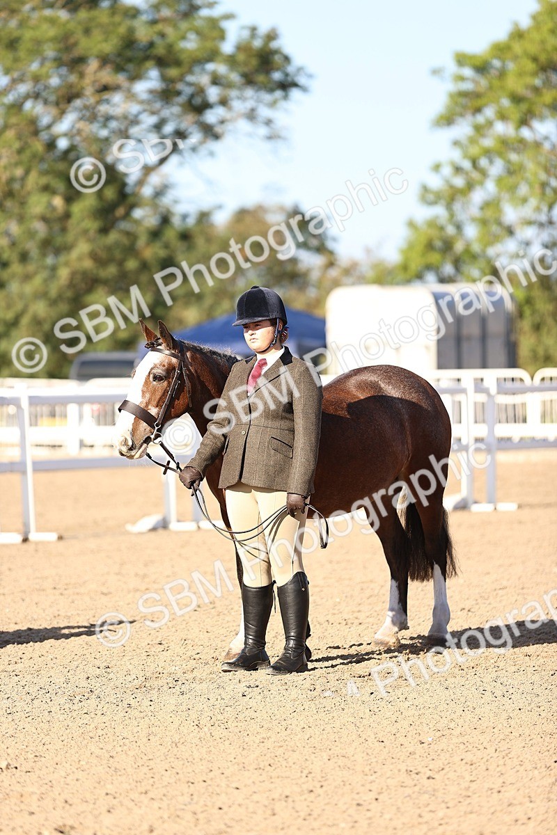 SBM_08450 - Class 402 - IH Veteran Pony