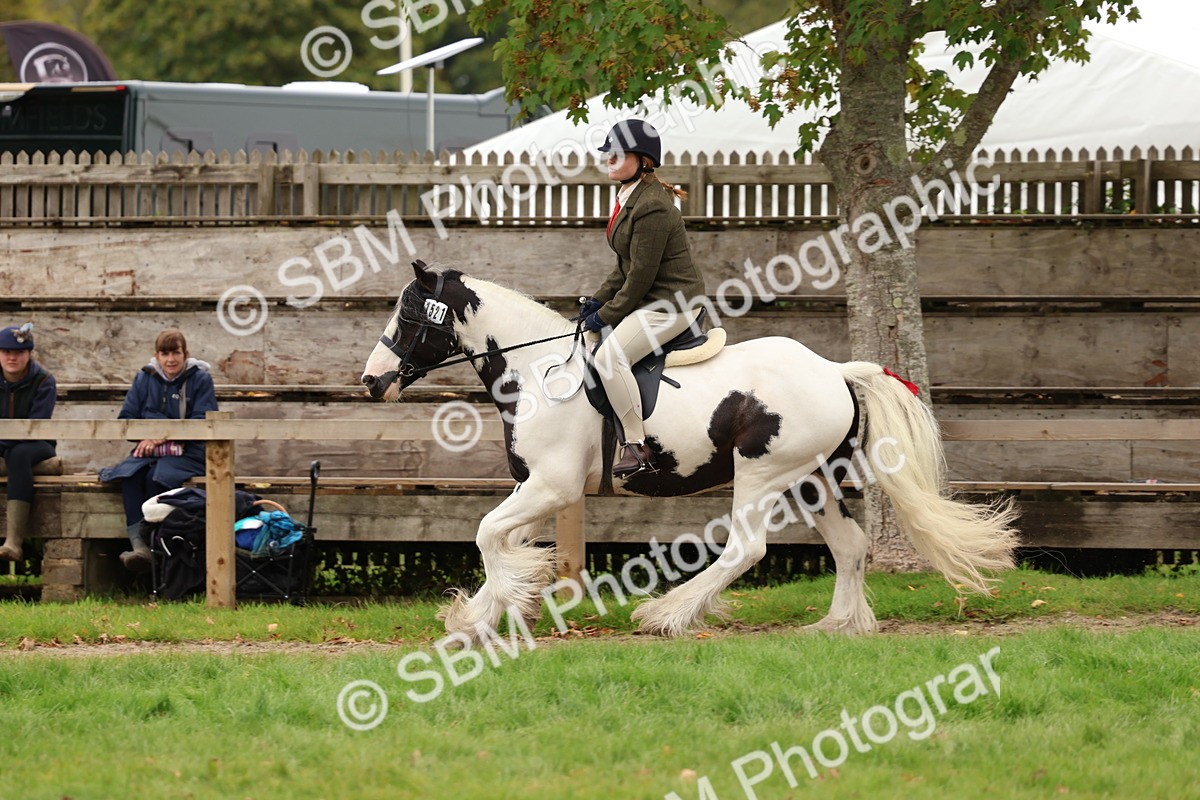 SBM_64635 - S58 - Coloured Pony Ridden