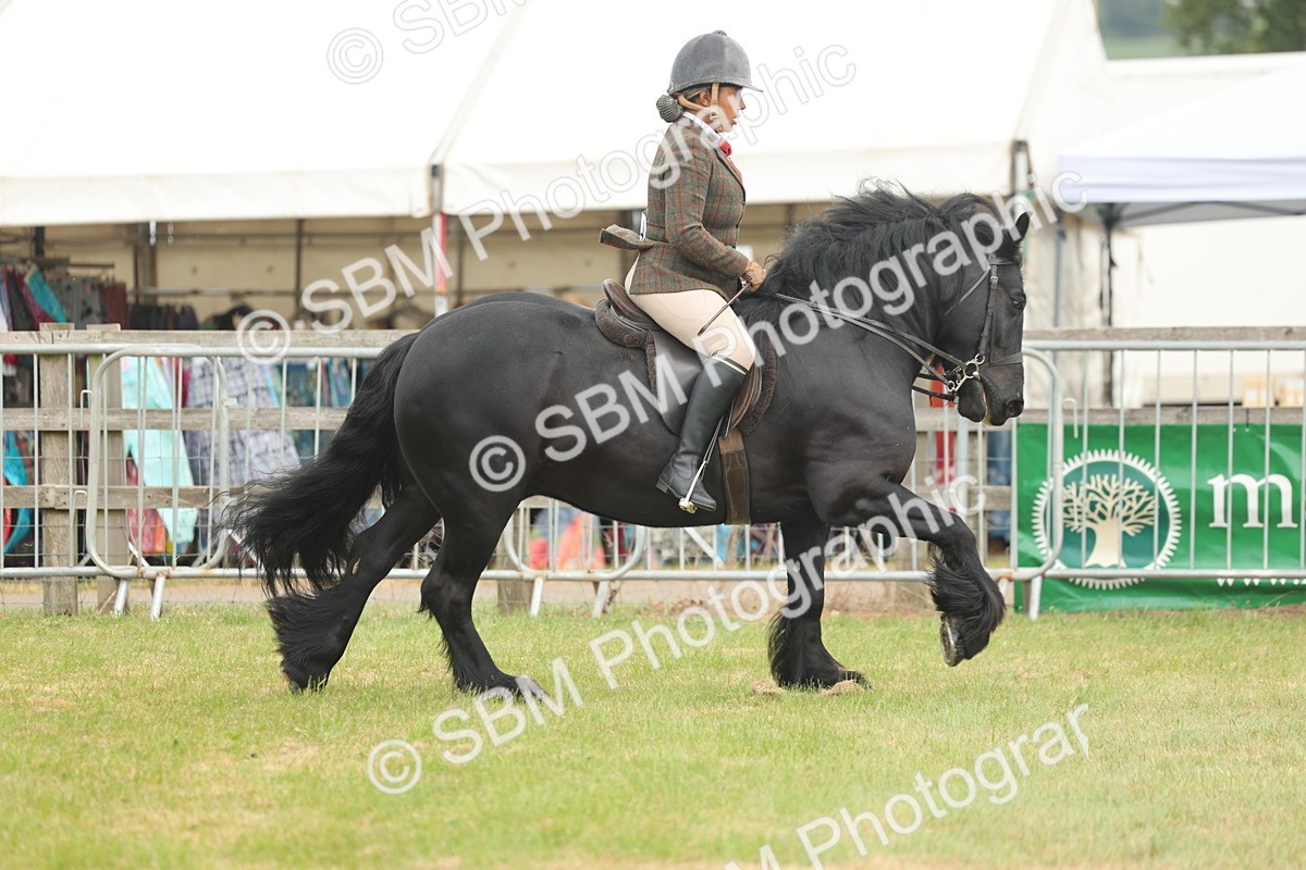 SBM_08948 - Class 78-80 - Ridden M&M Non Welsh Ponies
