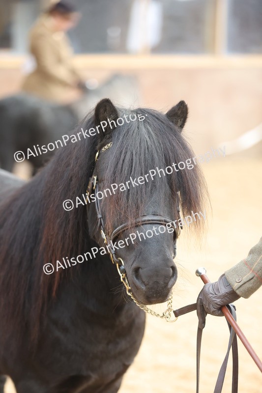 20251109-0042 - Class 3 - 2 and 3 Year Old