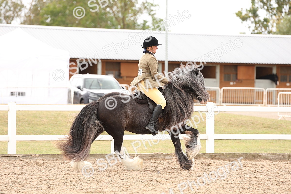 SBM_19657 - Class 216 - Ridden Traditional - Native Cob