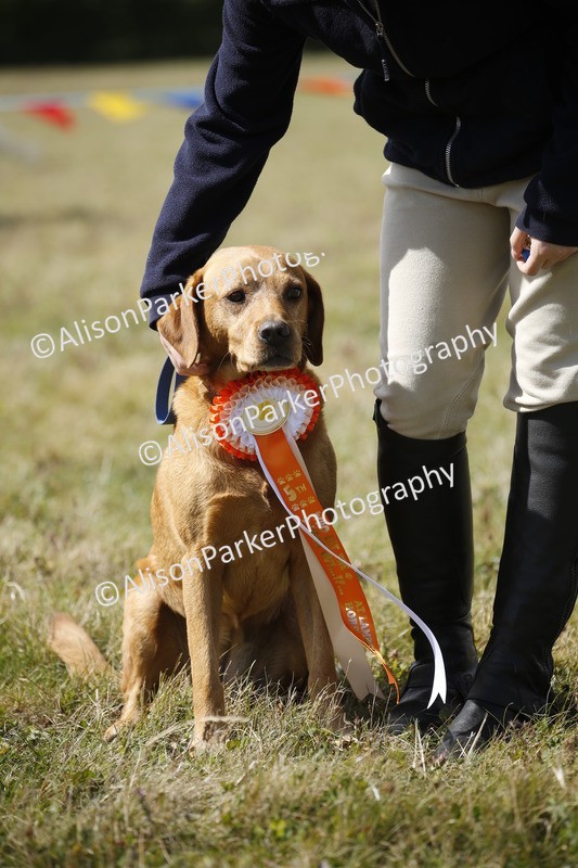 20250831-3803 - Dog Show