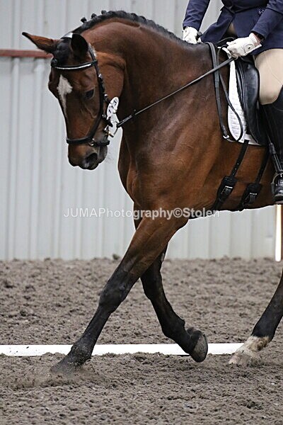 SIAL4755 - CAbin Dressage 5th july 2025
