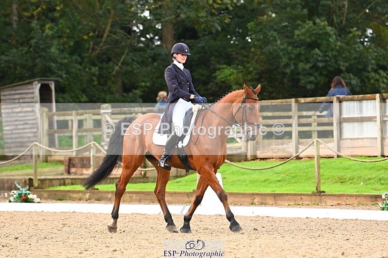 231021-093419-12852 - 327-ENSOR.VAN.HET.HELLEHOF-Francesca.Swallow-DR