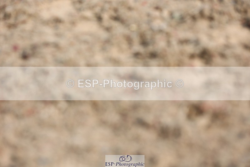 250622-100321-13602 - Cls 45 Prelim 6, 9.50 to End