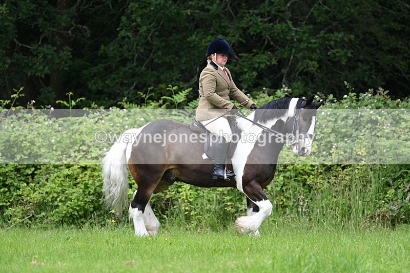 WJ7_2327 - Class 12A Coloured Class