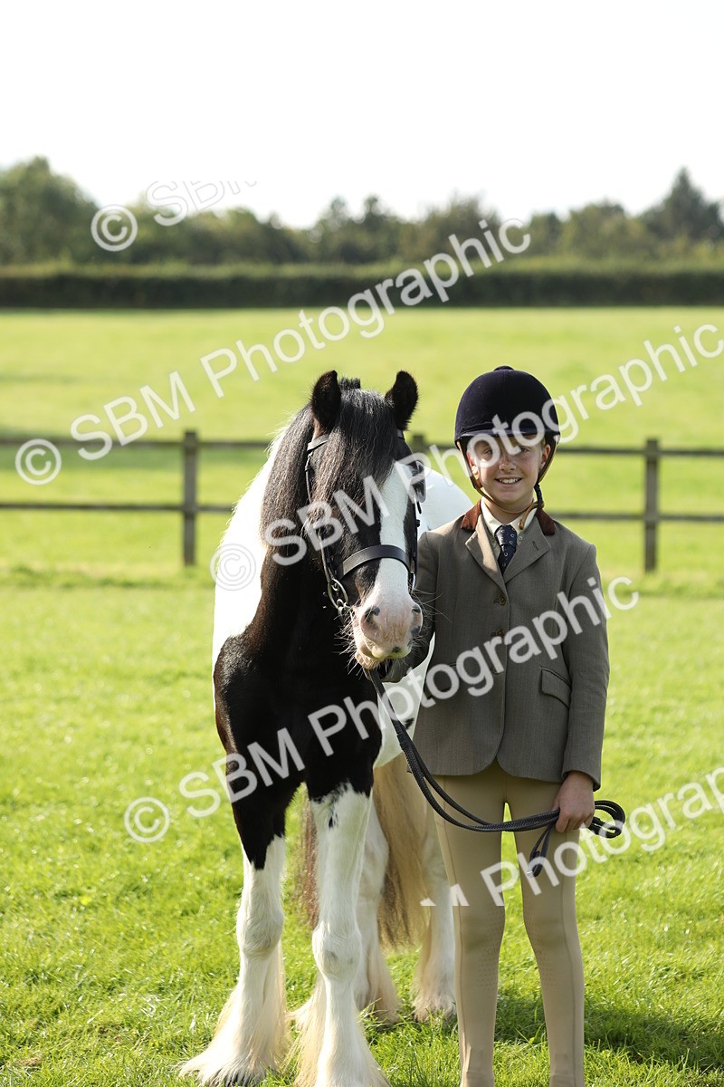 SBM_60970 - S43 - Coloured Pony In Hand