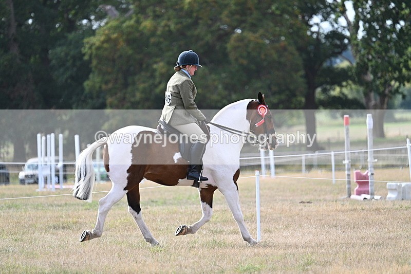 WJ7_7708 - Ridden Championship