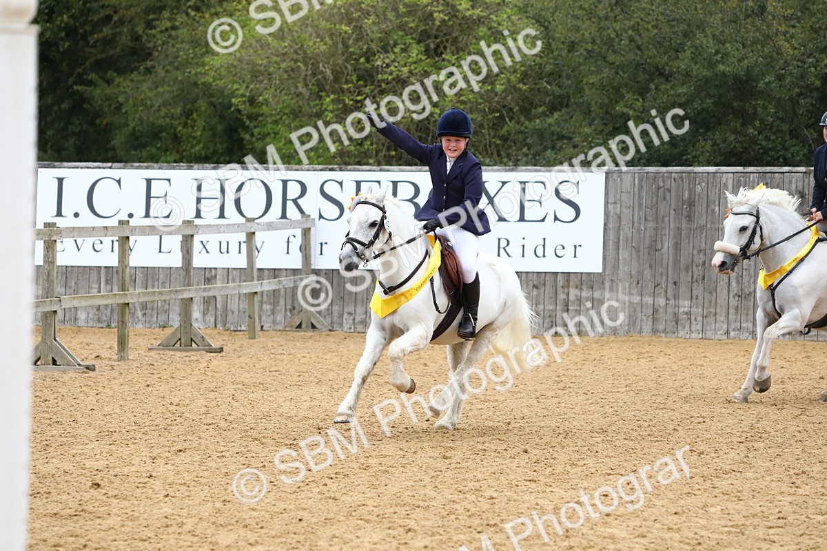 SBM_60176 - J63 - Junior Pony 50cm Championship