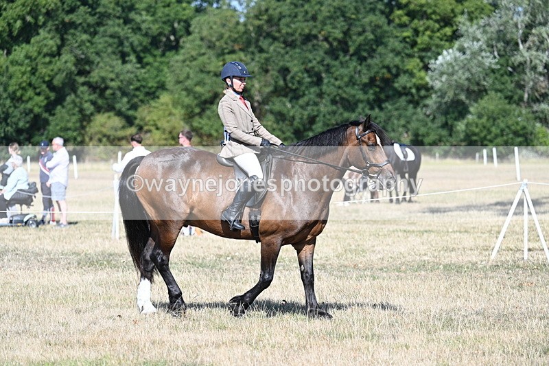 WJ7_3417 - Class 9 Mountain & Moorland Ridden