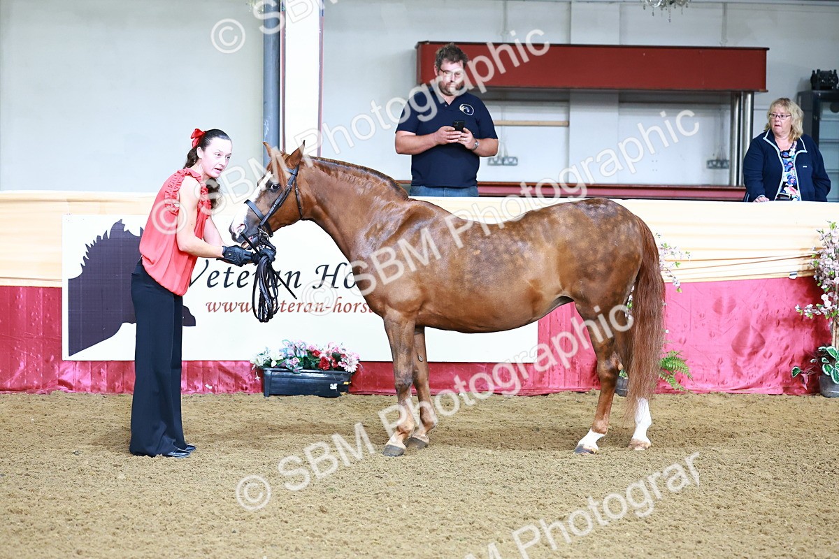 SBM_21695 - Class 901 - Supreme Final - IH  Diamond