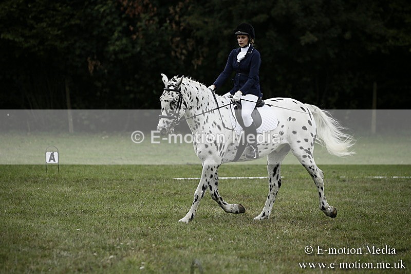 BVR080918 275 - BVRC Novice Dressage & CR 08/09/18