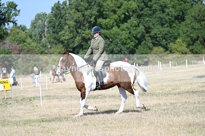 WJ7_2851 - Class 8 Ridden Tack & Turnout