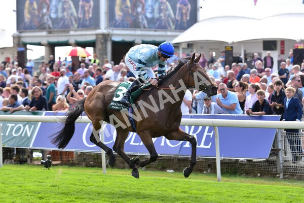 yr19082022r2-43 - Race 2 2.25pm Weatherbys Hamilton Lonsdale Cup (British Champions Series Race)