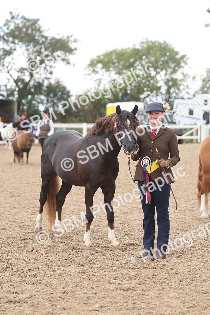 SBM_03301 - Class 16 - IH M&M Wildcard