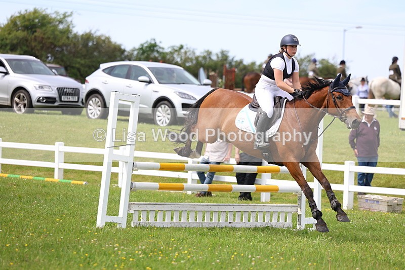 3E7A1865 - Class 13: Senior British Novice/90cm open
