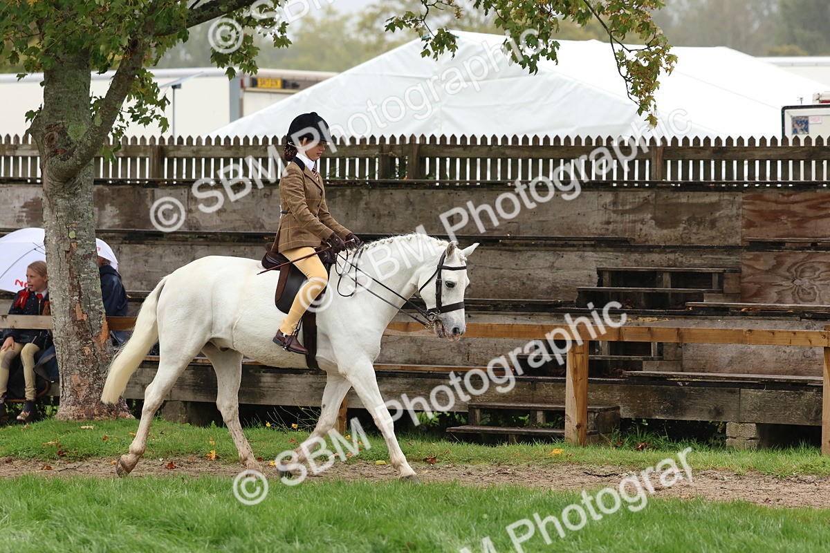 SBM_72993 - S63 Show Pony & Show Hunter Pony Ridden