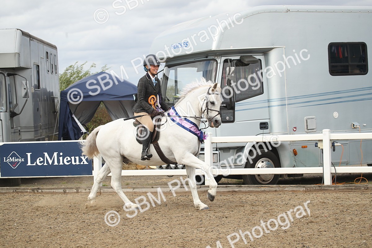 SBM_17803 - Class 508a - Working Veteran 70cm (15-19)