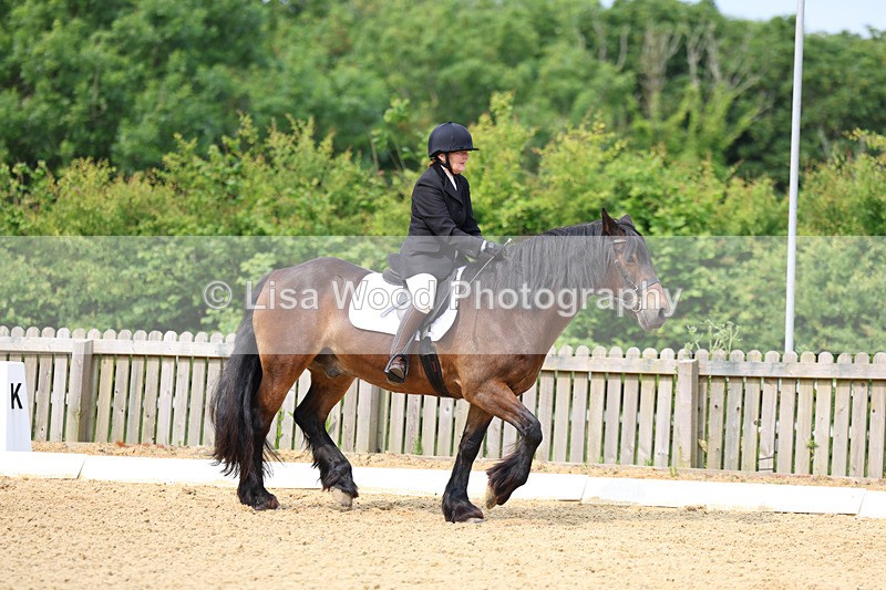 3E7A9075 - Class 2: Intro 1 2024 Section B