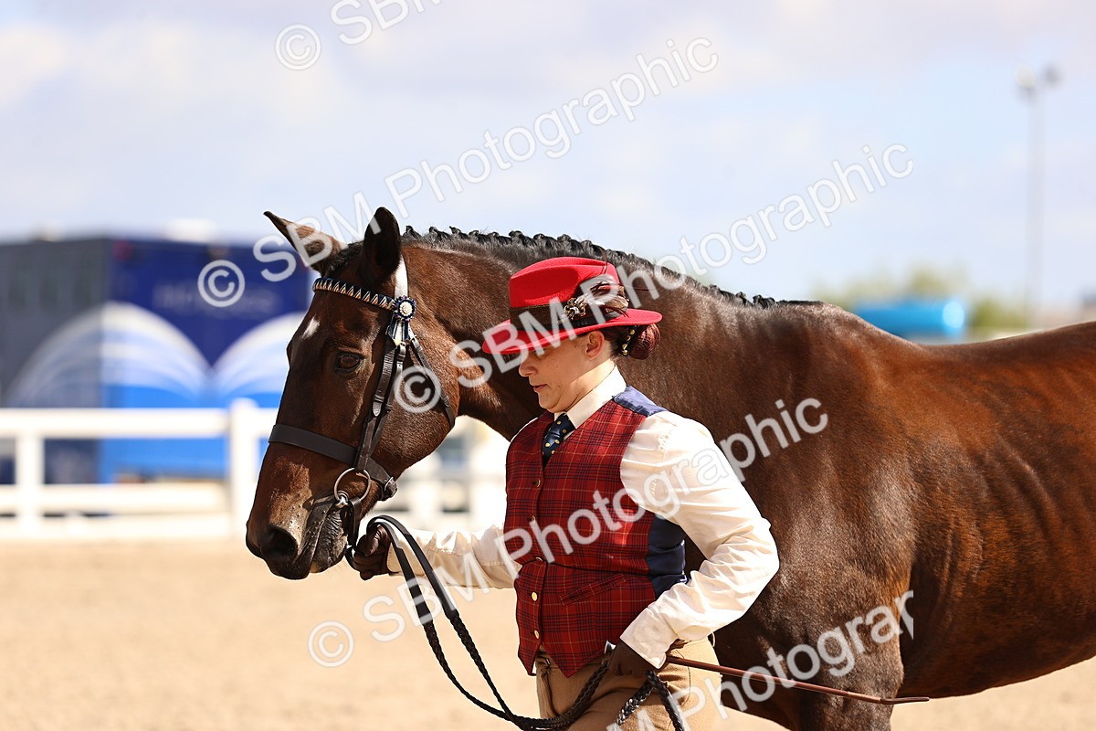 SBM_11537 - Class 407 - IH Hack-Riding Horse