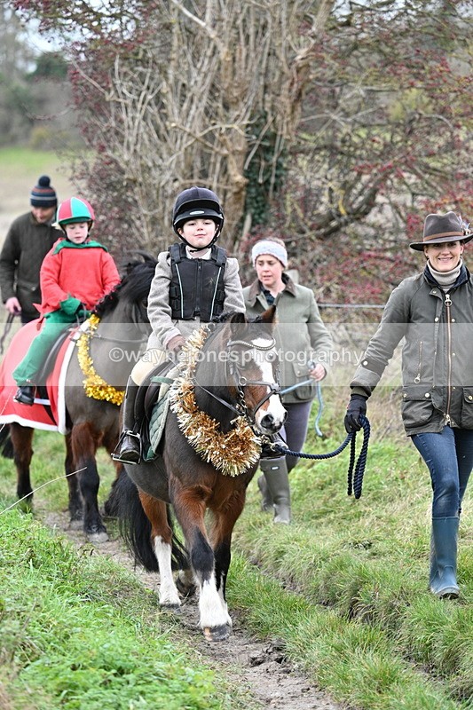 WJ7_0941 - First Seen