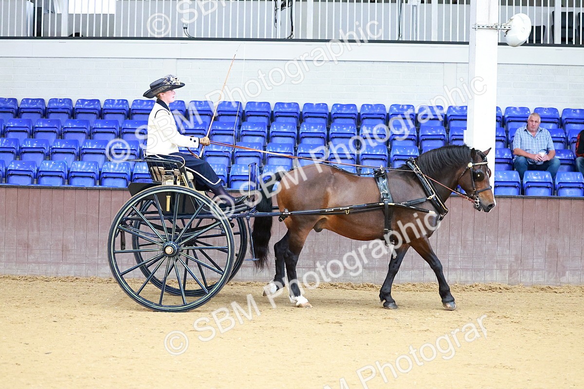 SBM_000092 - Class 3 - Alison Thomas Memorial Lady Whip
