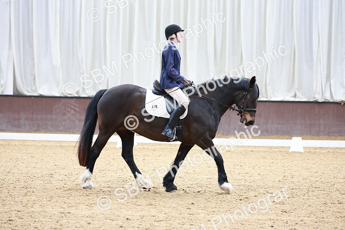 SBM_000398 - Class 3 - Prelim 1