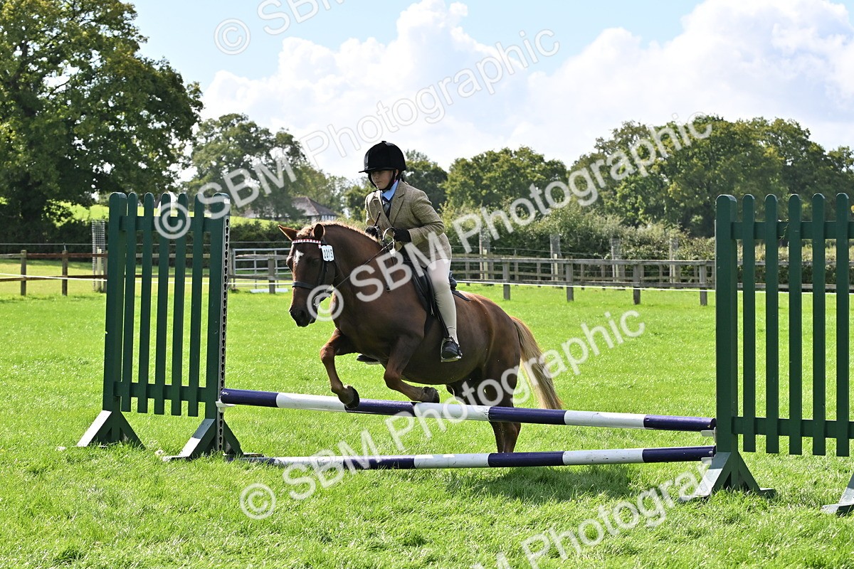 SBM_44523 - S13 - Pony Club Pony