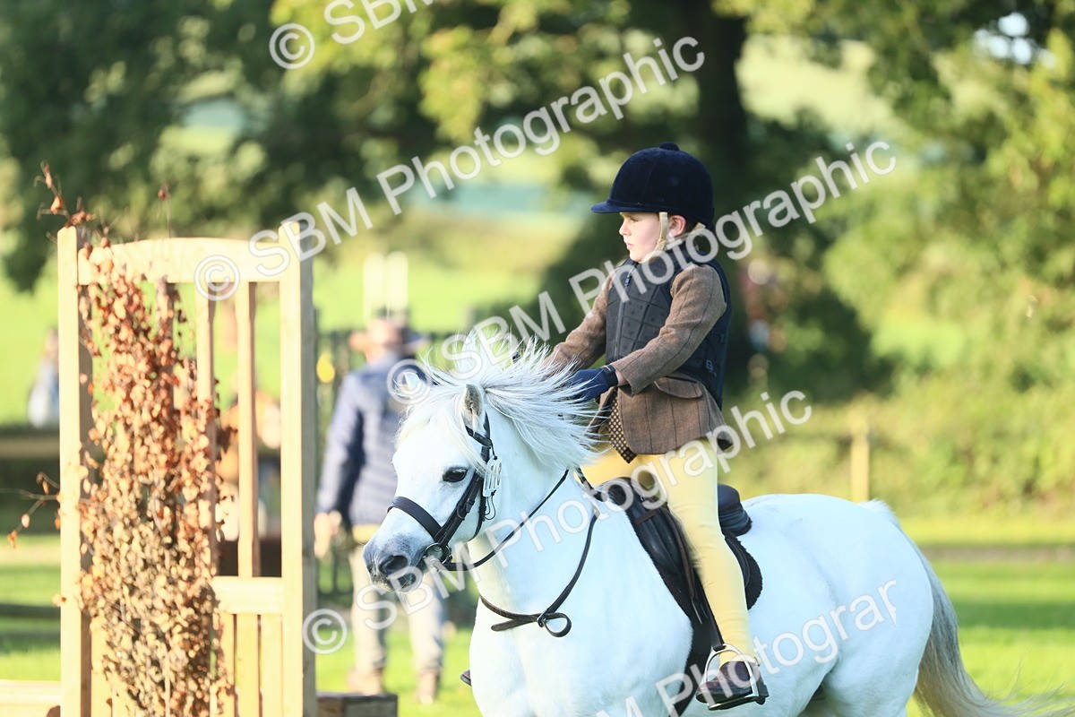 SBM_31802 - S28 - Nursery Stakes Working Hunter Pony