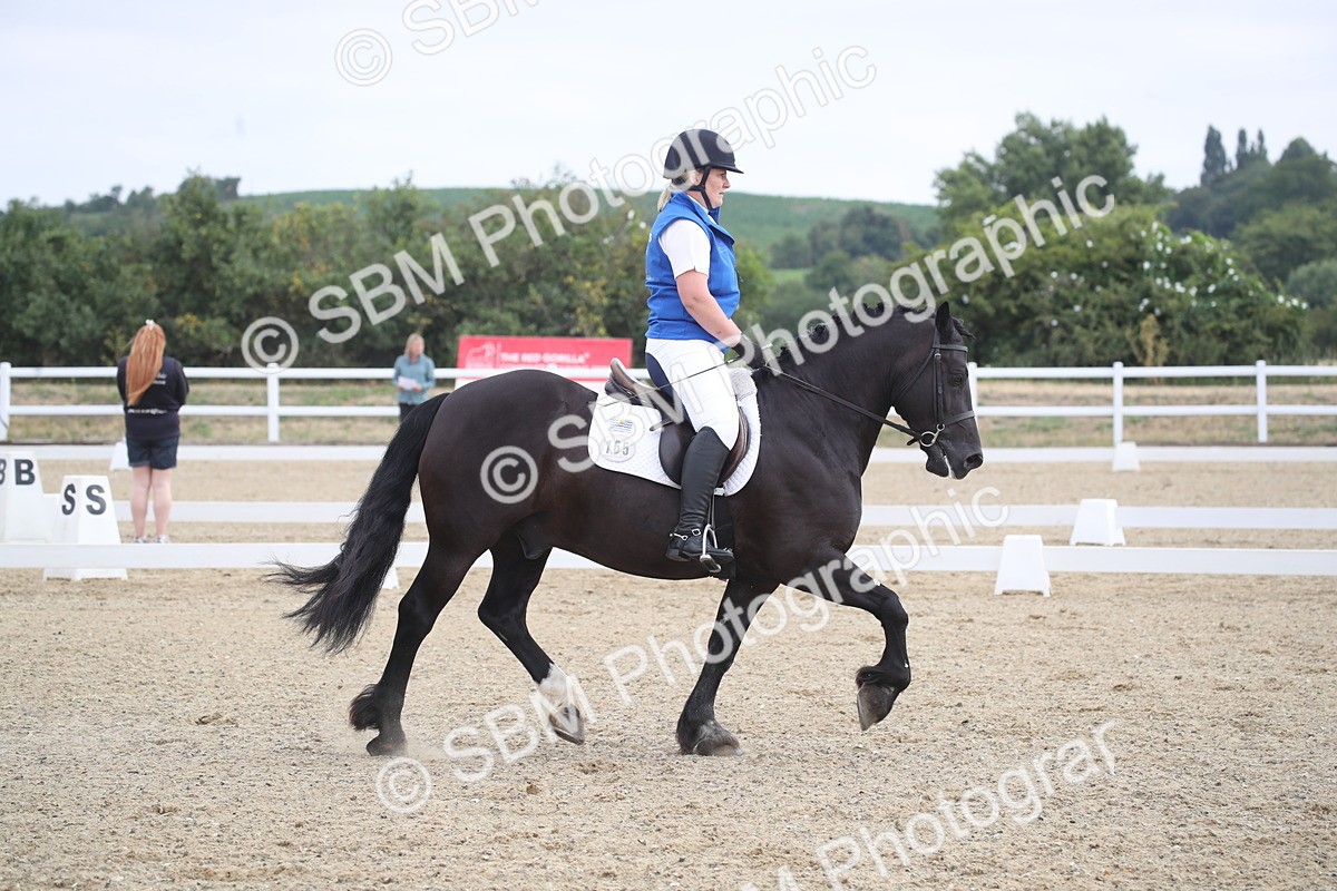 SBM_005881 - Novice 5 - 8.30.10.39