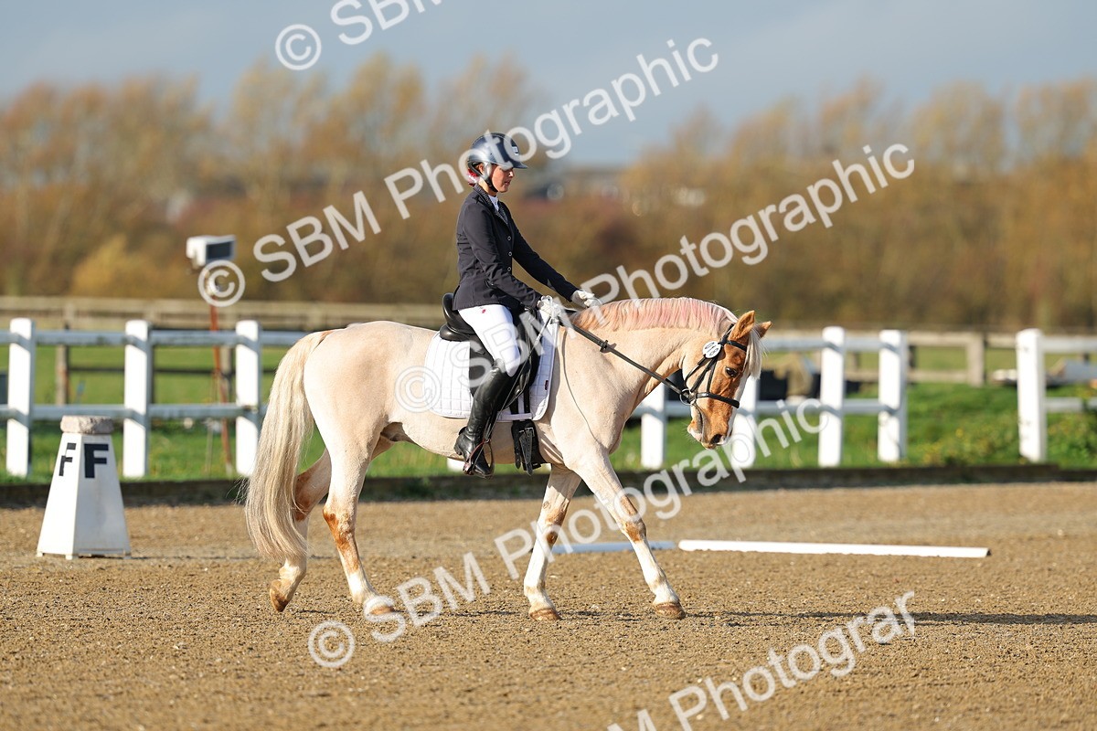 SBM_003009 - Class 2 - Intro 3