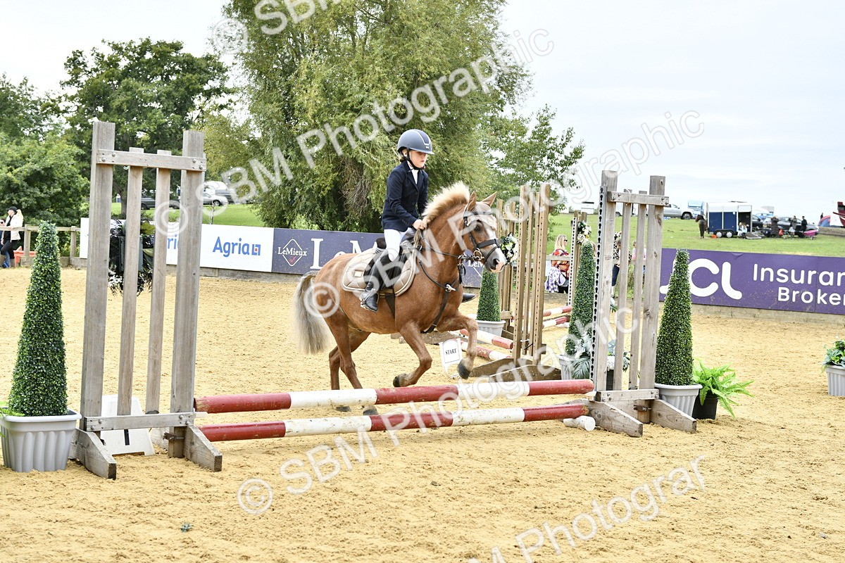 SBM_65463 - J2a mini Tour Junior Pony 30cm Championship