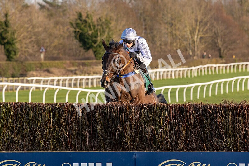 250225-Race 4-Master Breffni-6323 - Race 4