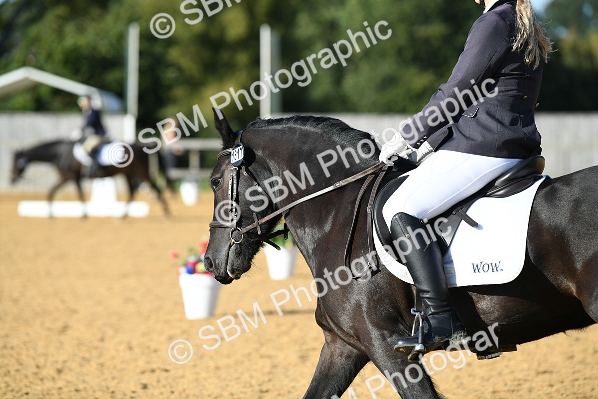 SBM_28461 - D16 - Small Tour Championship - Novice 28