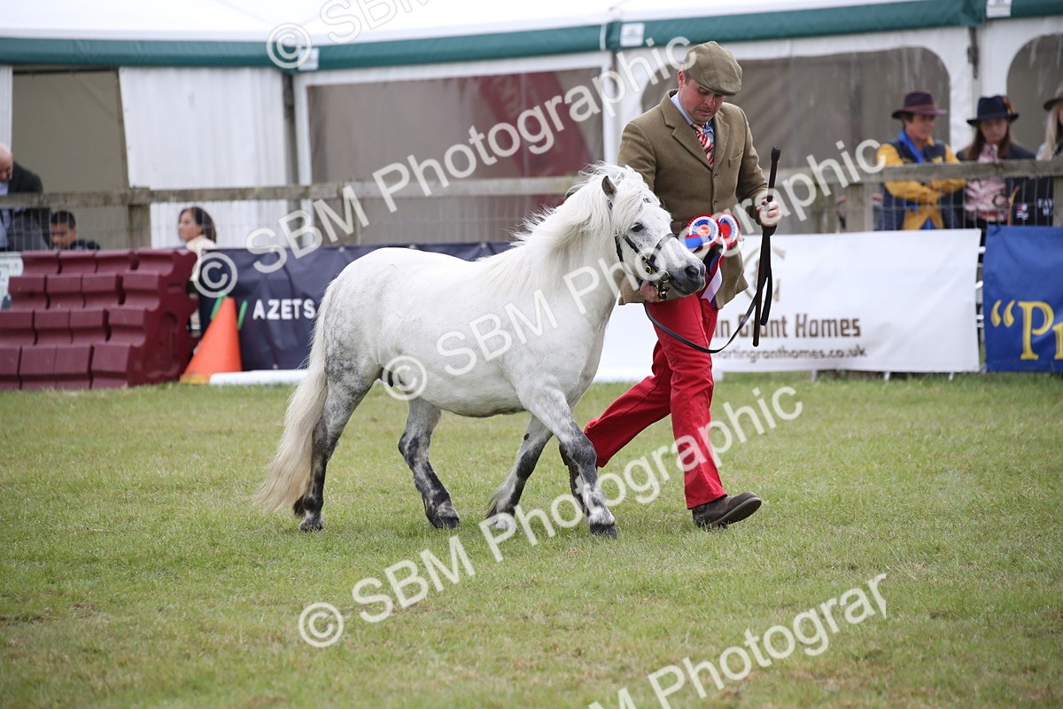 SBM_09821 - Ch 50 - Price Family Supreme In Hand