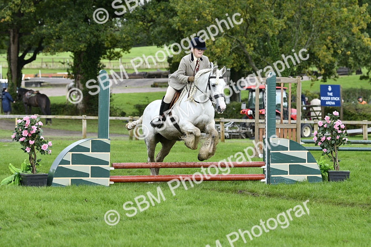 SBM_41533 - S32 - Mountain & Moorland Working Hunter Pony