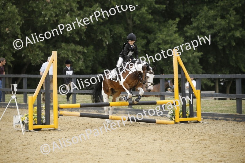 20250622-6054 - 60cm