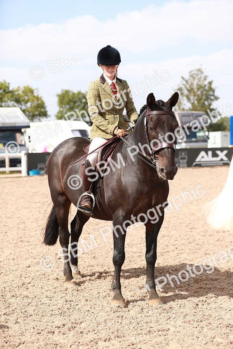 SBM_14877 - Class 212 Ridden Hunter - Small