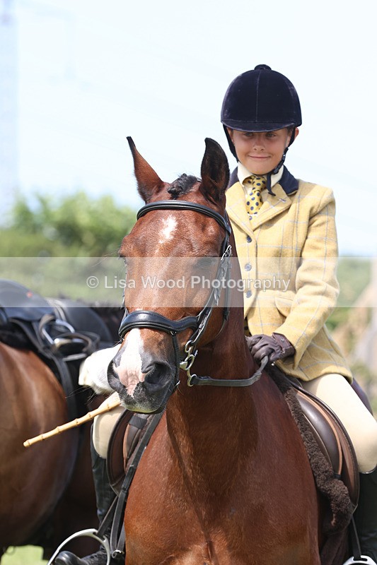 JPP_3458 - Class 22: Working Hunter 70cm