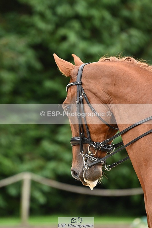 240811-100928-04683 - 134-Beth.Miller-U-gino