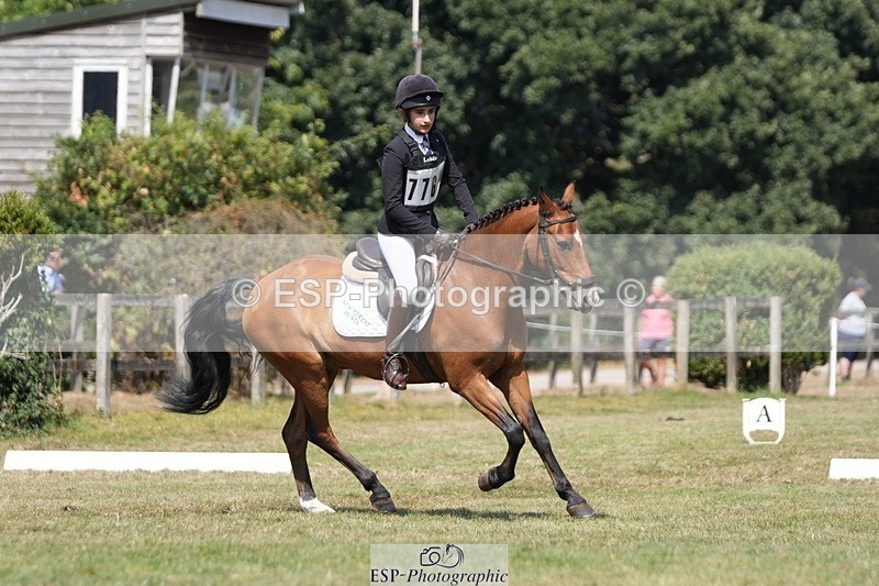 250823A-130807-31137 - Arena A