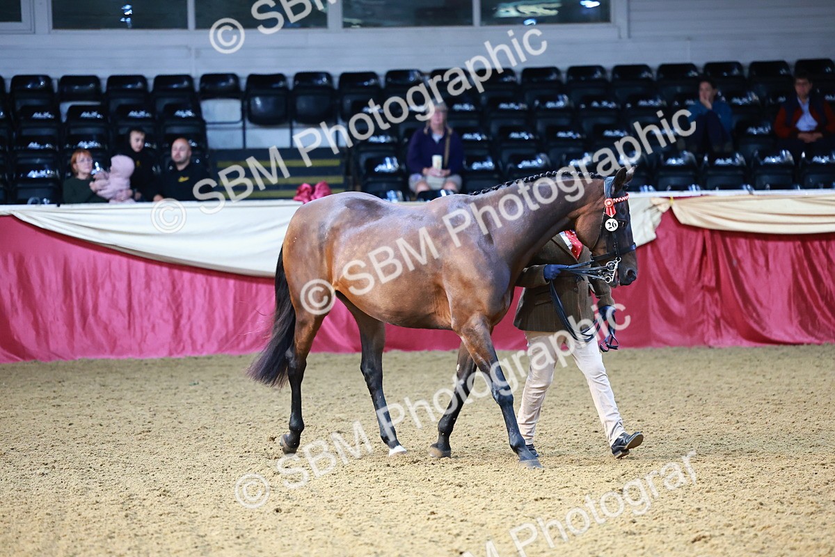 SBM_21775 - Class 901 - Supreme Final - IH  Diamond