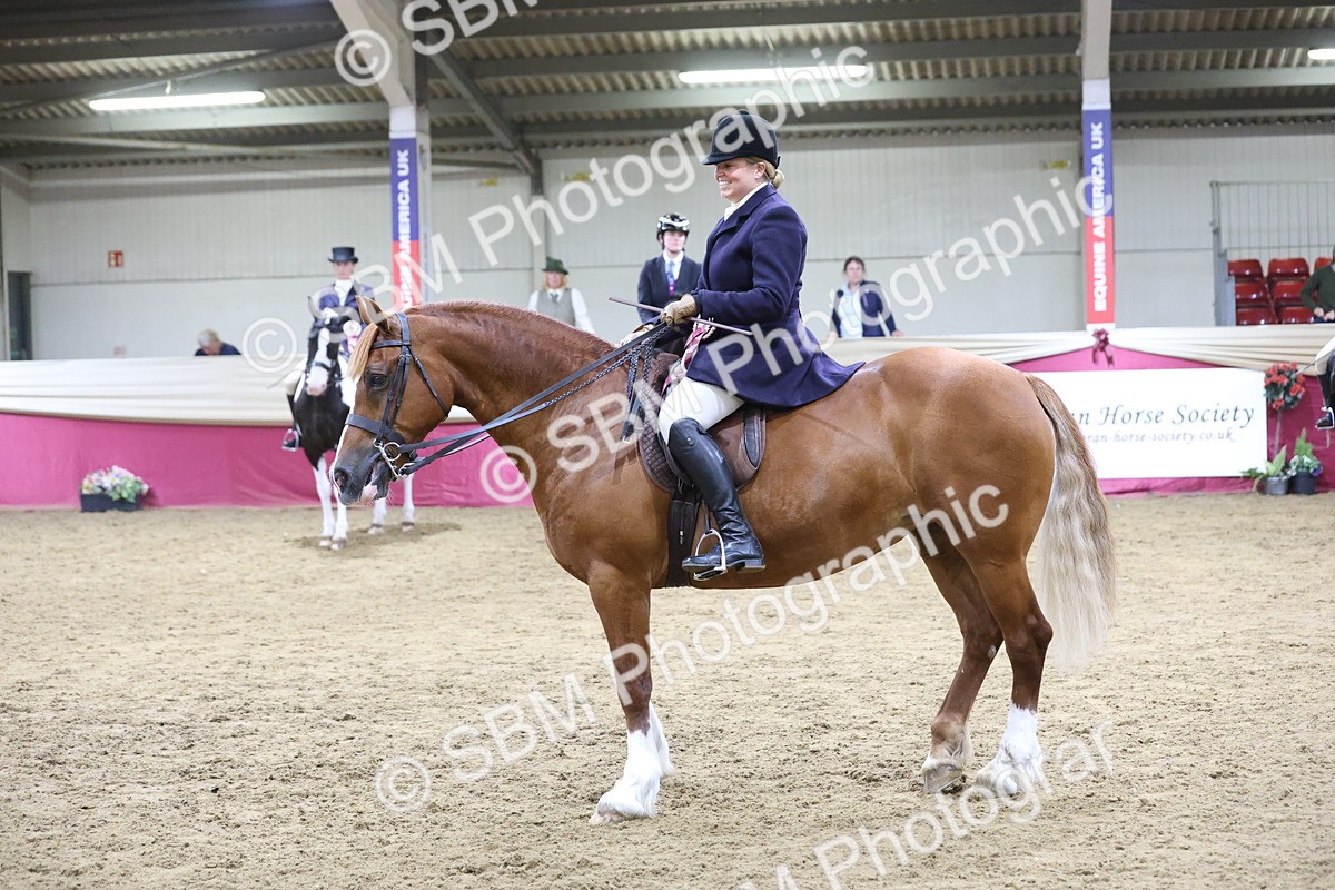 SBM_23835 - class 906 - Supreme Final - Ridden Pre Vet