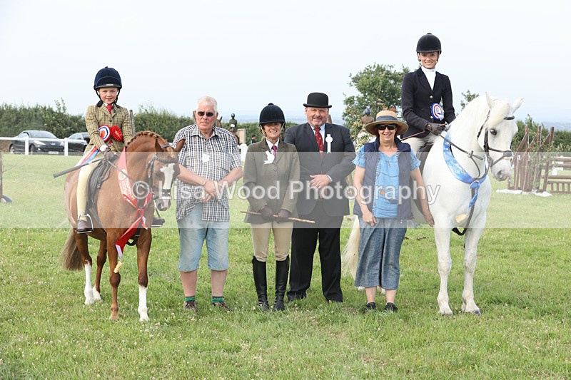 JPP_4818 - Working Hunter Championship
